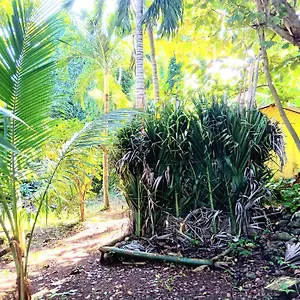 Resort La Familia And Natural Farm, Port Antonio